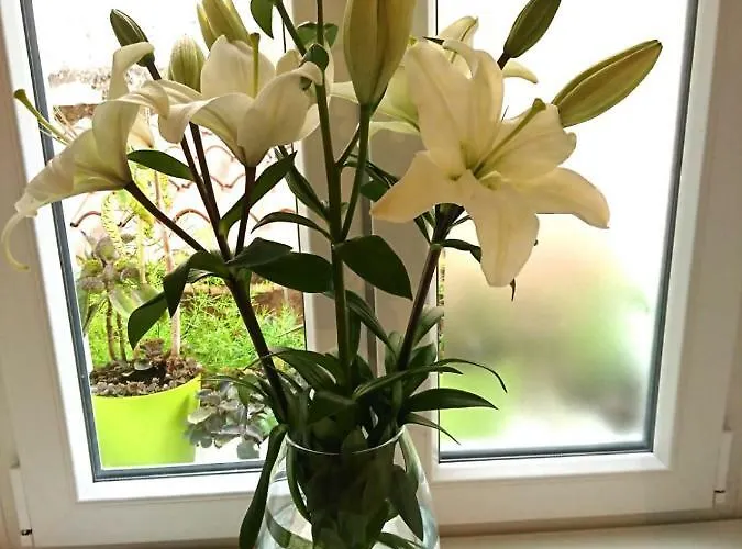 Sfinga In The Heart Of Diocletian's Palace