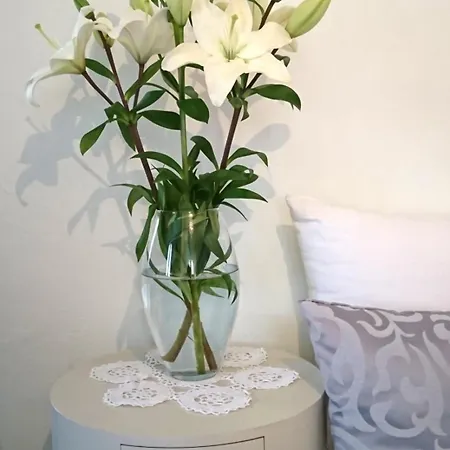 Sfinga In The Heart Of Diocletian's Palace Split